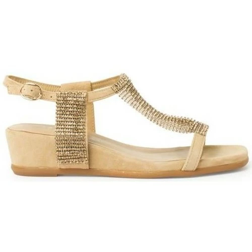 Alma En Pena V22413 Couleur Marron 1 Alma En Pena V22413 Couleur Marron