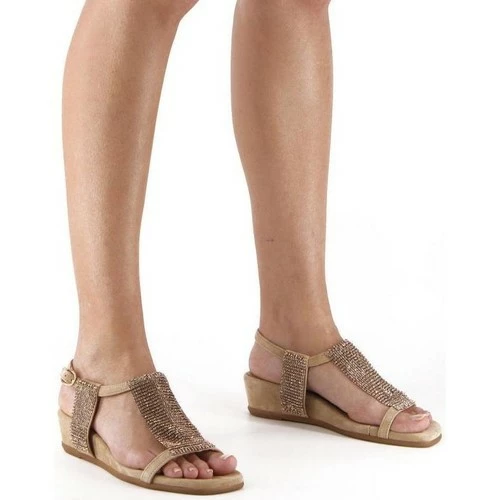 Alma En Pena V22413 Couleur Marron 2 Alma En Pena V22413 Couleur Marron – Image 2