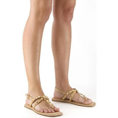 Alma En Pena V22BL2050 Couleur Marron 2 Alma En Pena V22BL2050 Couleur Marron – Image 2