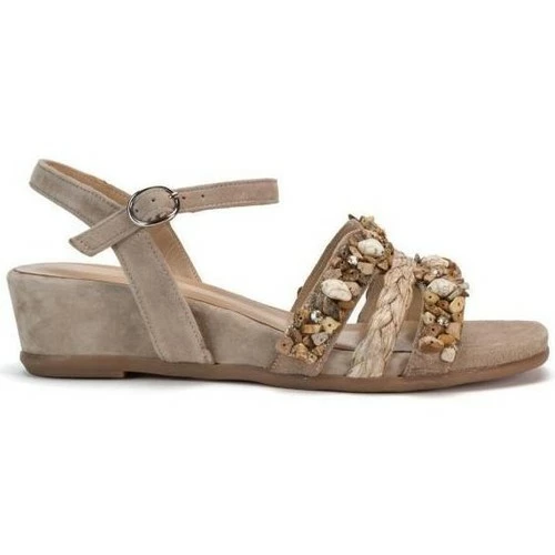 Alma En Pena V22416 Couleur Marron 1 Alma En Pena V22416 Couleur Marron