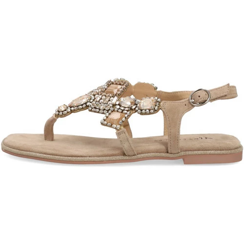 Alma En Pena Couleur Marron 1 Alma En Pena Couleur Marron