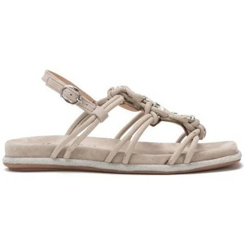 Alma En Pena V22421 Couleur Marron 1 Alma En Pena V22421 Couleur Marron