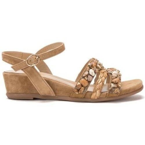 Alma En Pena V22416 Couleur Marron 1 Alma En Pena V22416 Couleur Marron