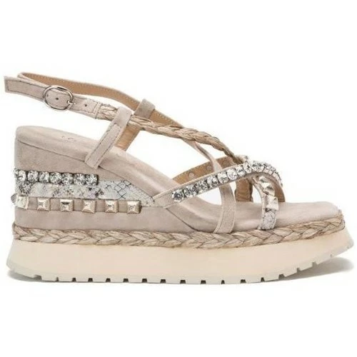 Alma En Pena V22203 Couleur Marron 1 Alma En Pena V22203 Couleur Marron